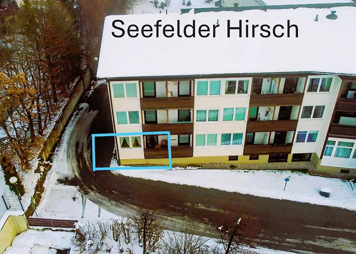 Seefelder Hirsch * سيفيلد ان تيرول